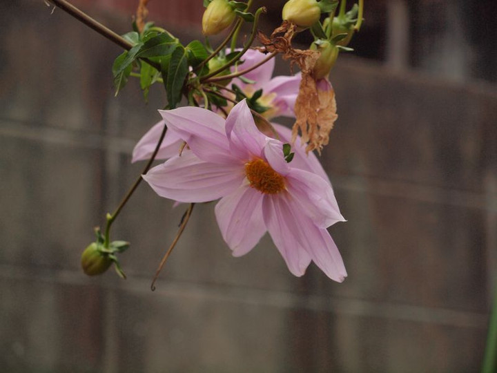 P1017985