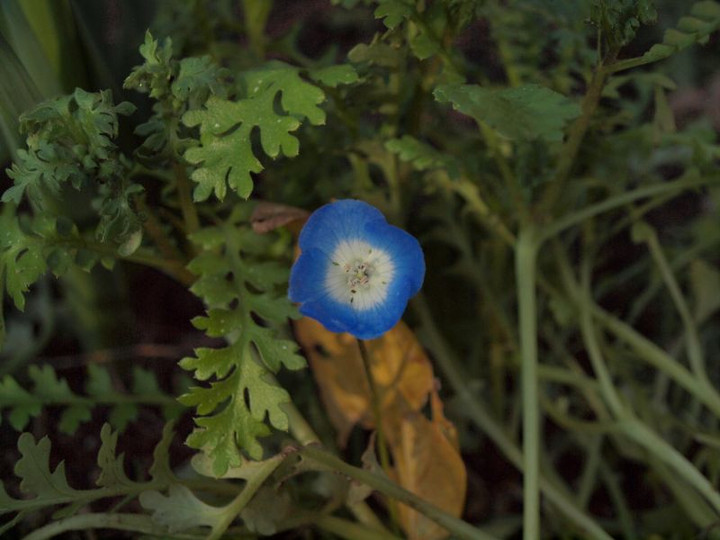 P1018028