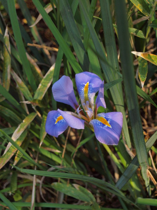 P1018030