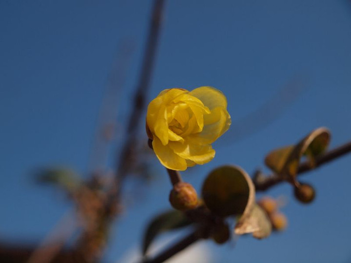 P1018048