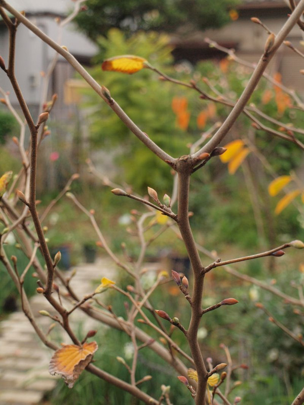 P1018071