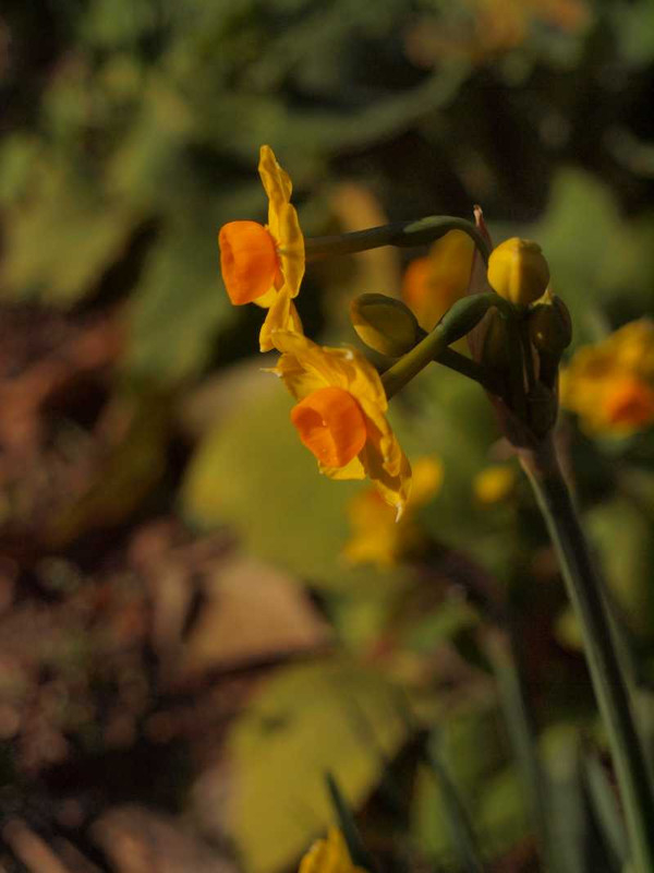 P1018501