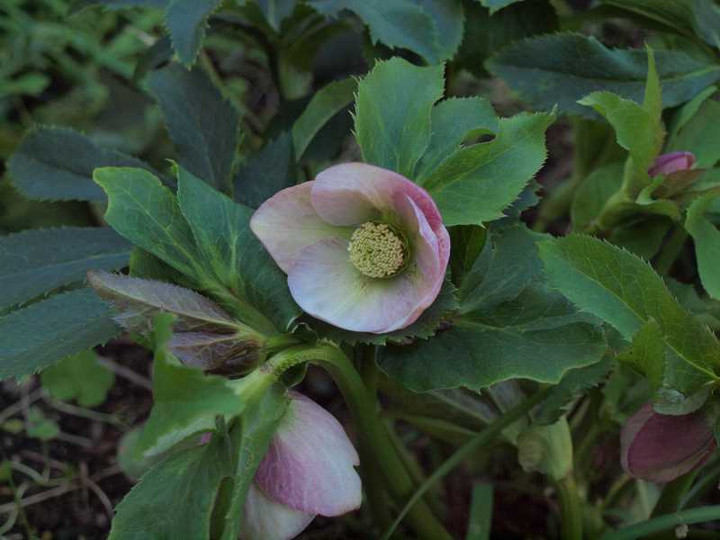 P1018502