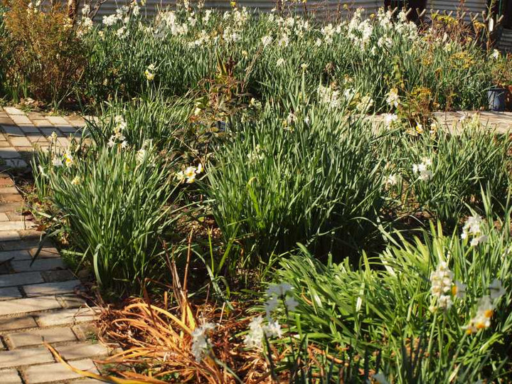 P1018504