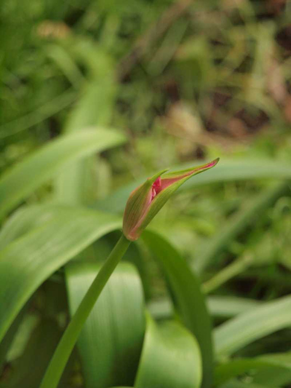P1018637