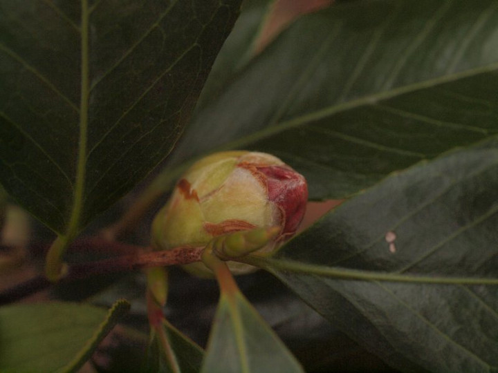 P1189427
