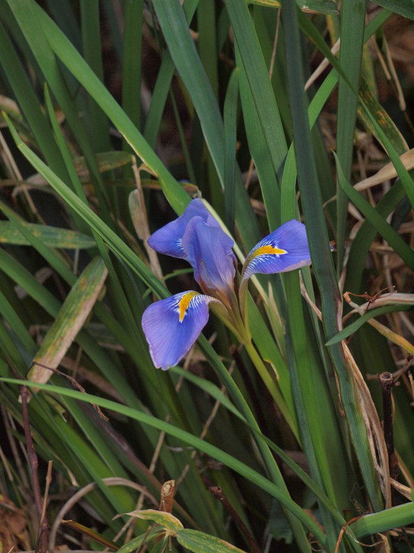 P1229461