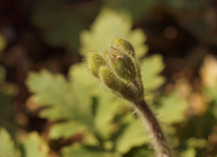 P2049761