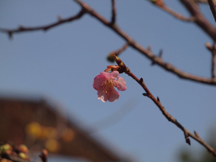 P2049781