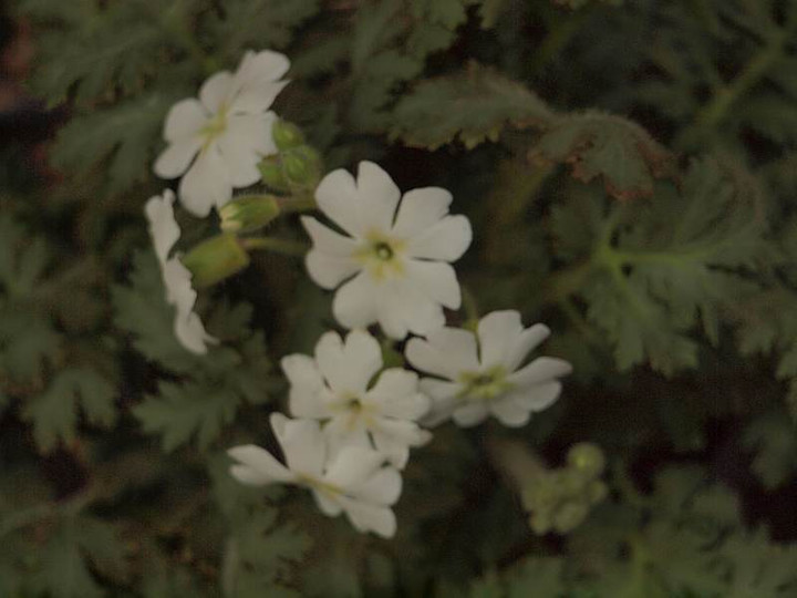 P2130022