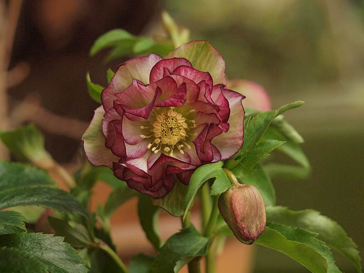 P2130088