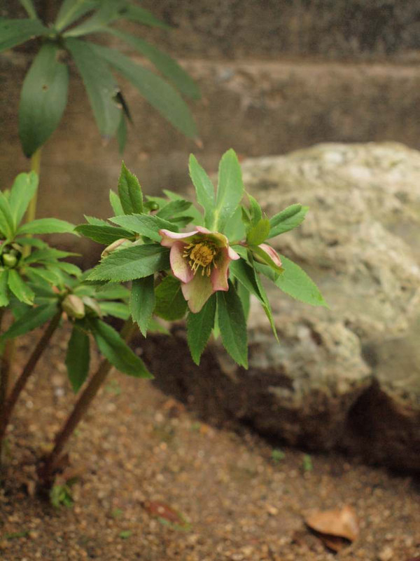 P2150101