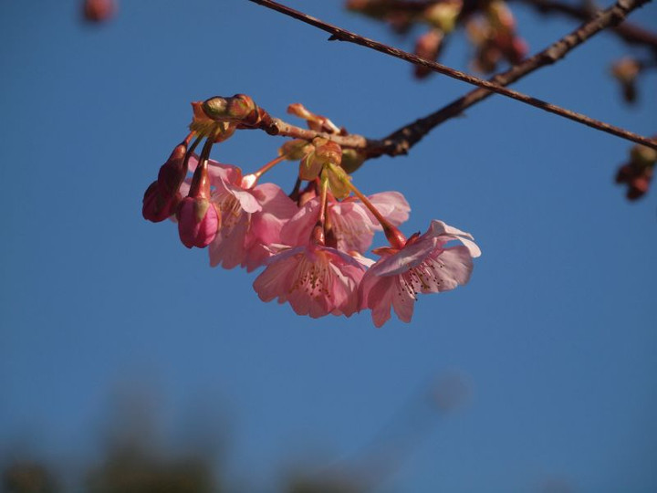 P2180181