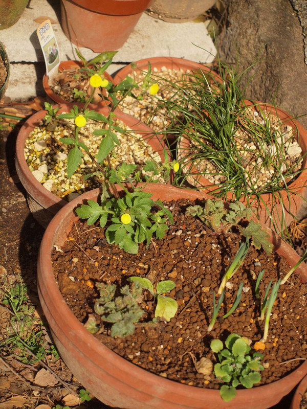 P2190216