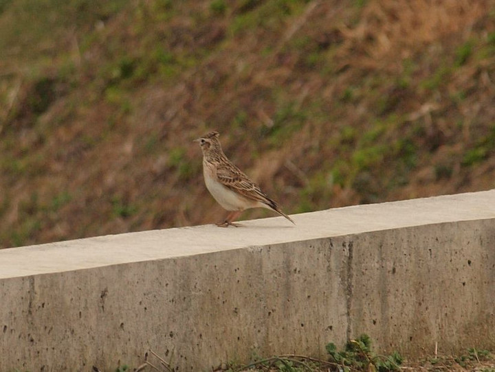 P2190250