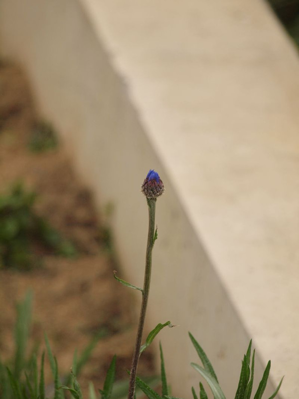 P2190251