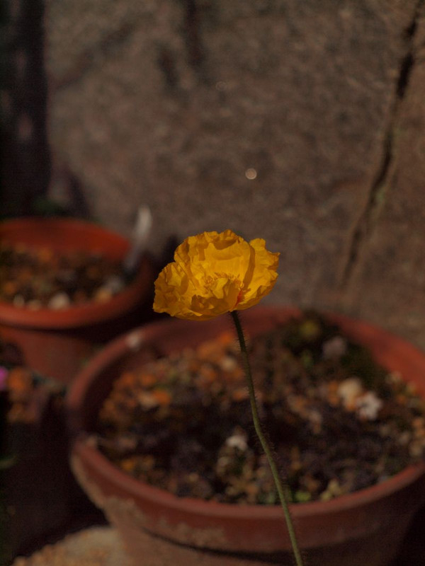 P2210309