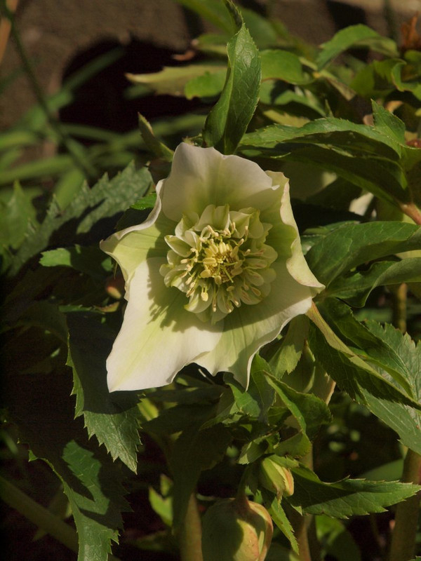 P2250340