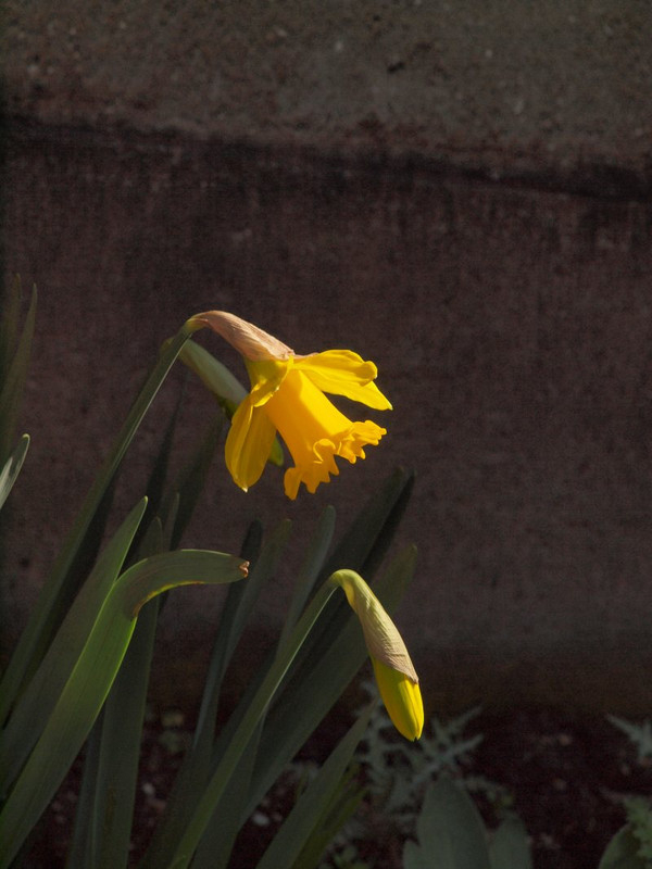P3150552