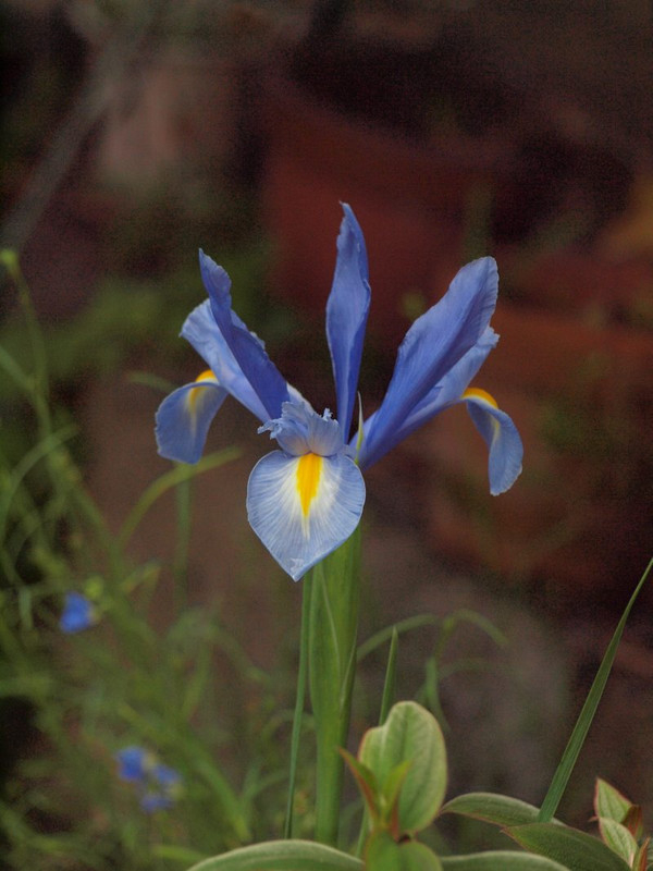 P3190809