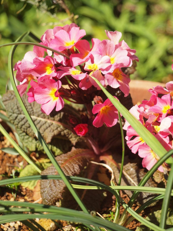 P3210123douba