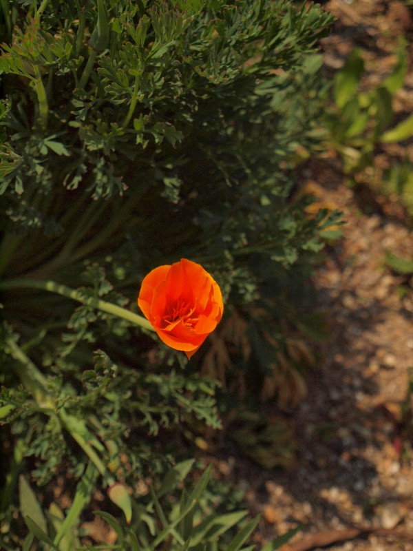 P3270148