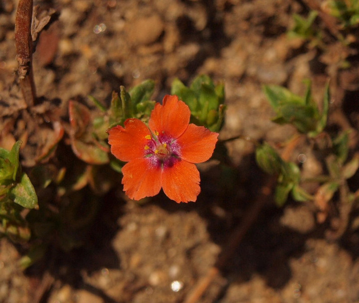 P3270157