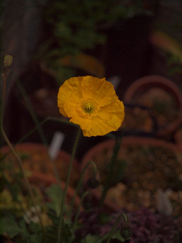 P3290198