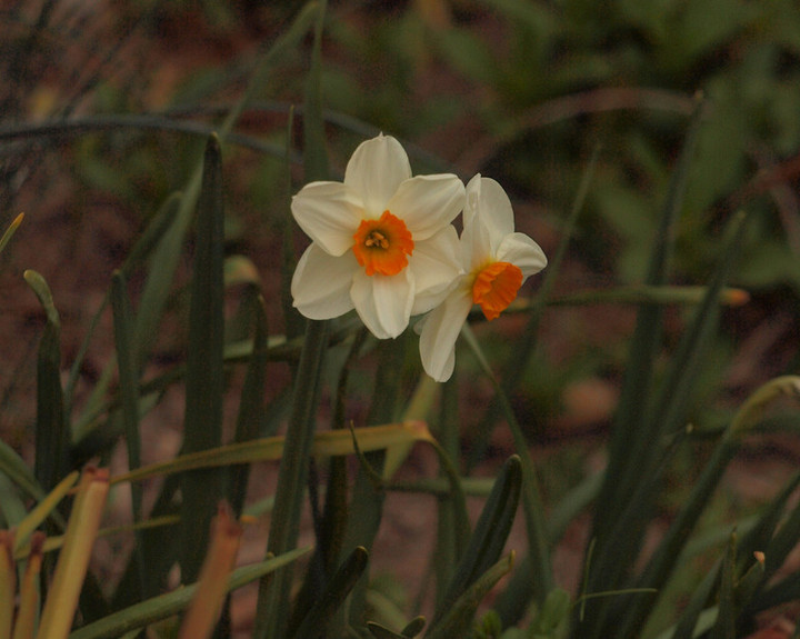P3290202