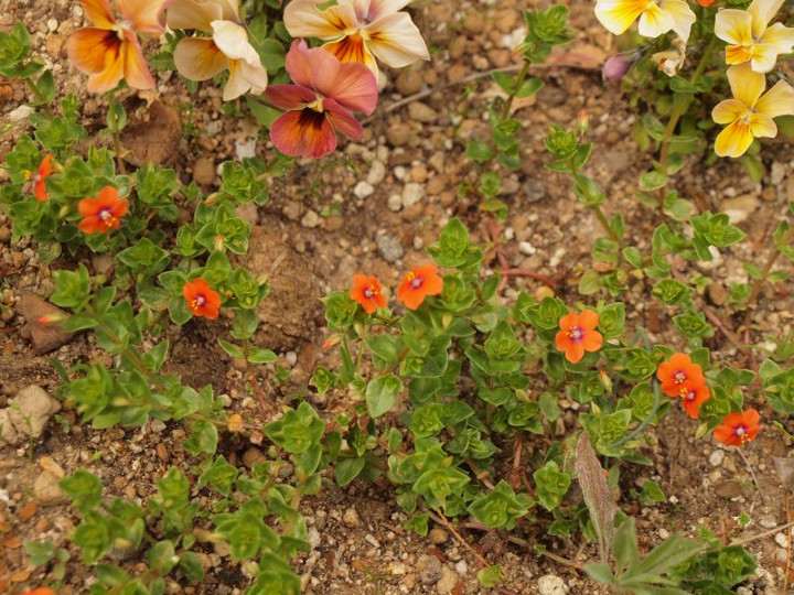 P3300269