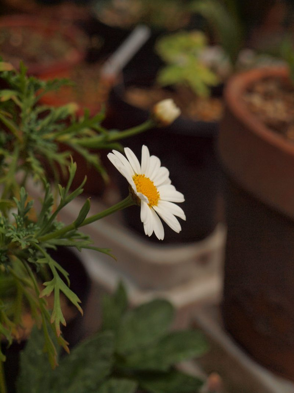 P3300278
