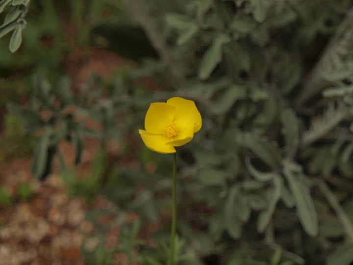 P3300285