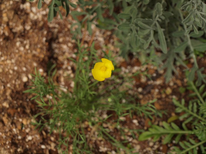 P3300286