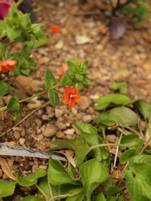 P3300293
