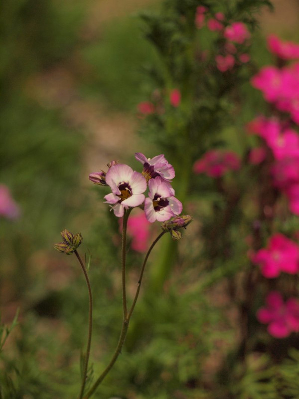 P3310330