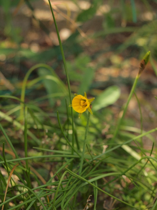 P3310333