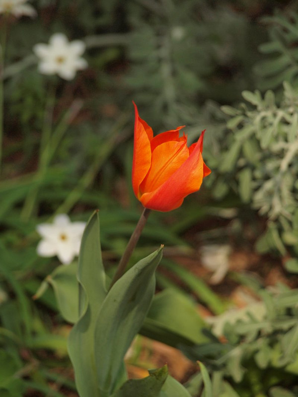 P3310354