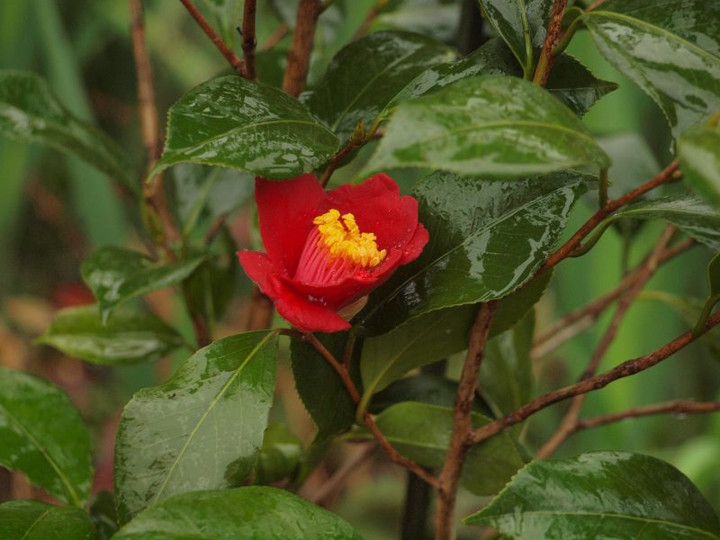 P4010365