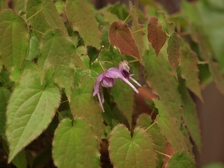 P4040481