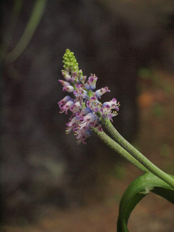 P4070590