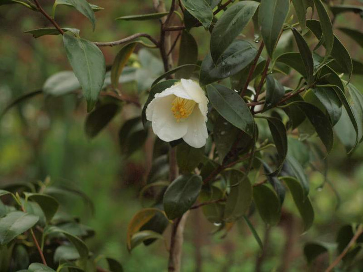 P4070597