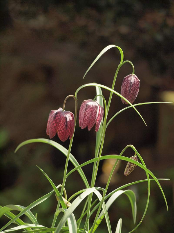 P4111031