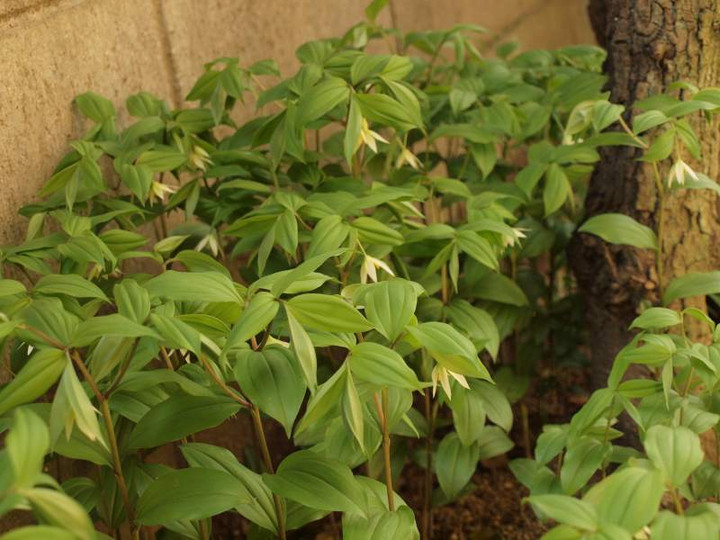 P4111096