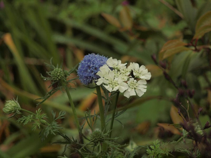 P4282220