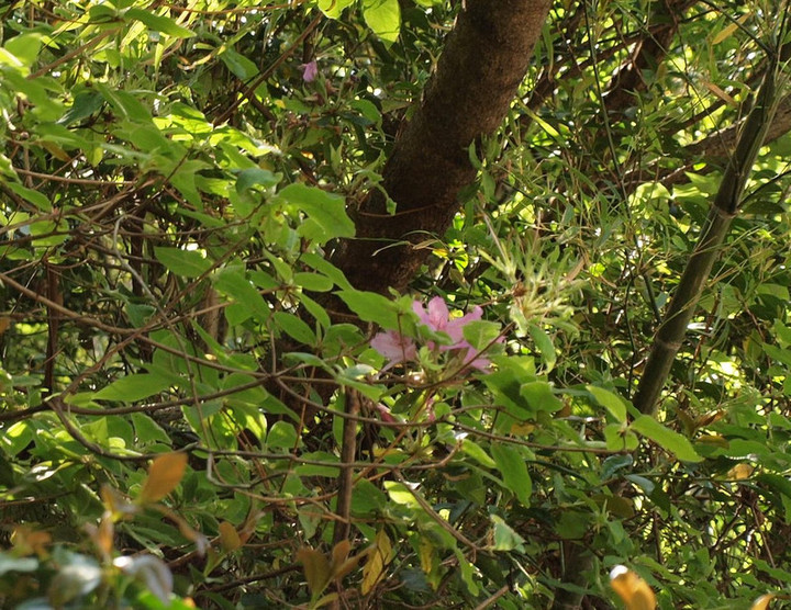 P5012304