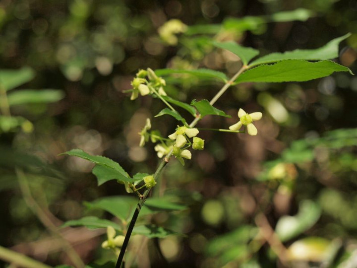 P5012309