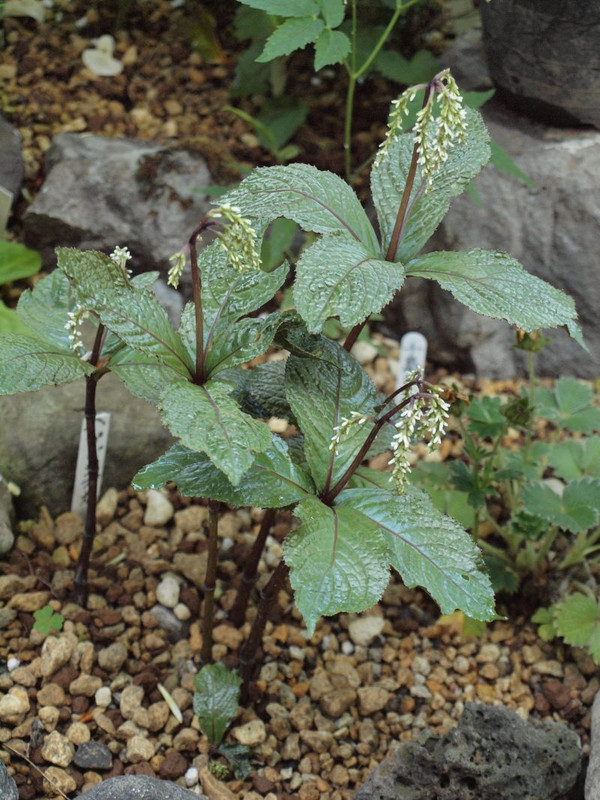 P5012321
