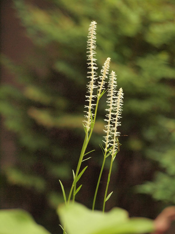 P5032380
