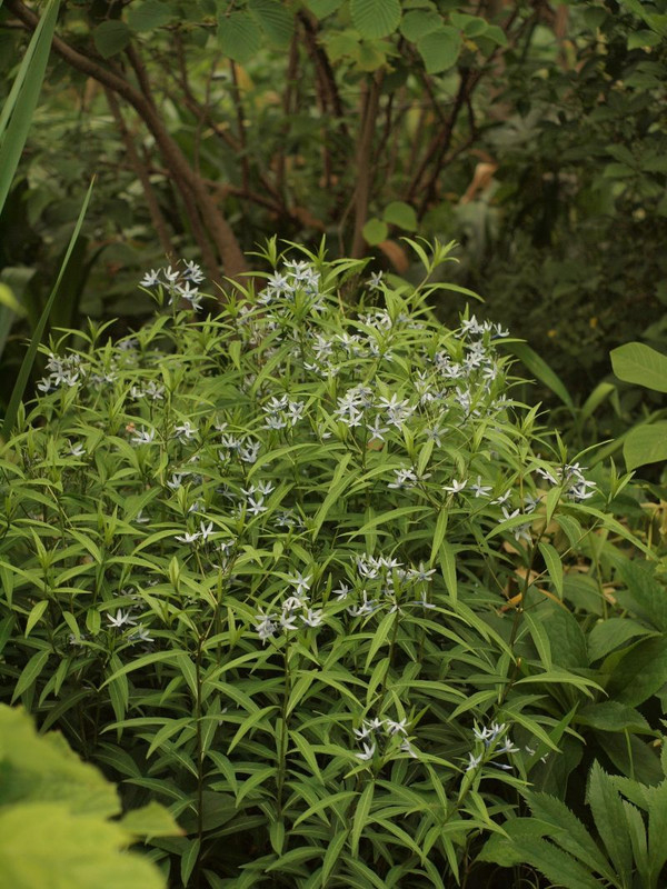 P5032405