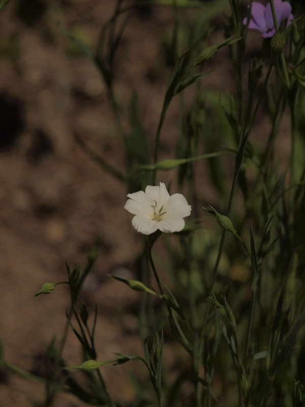 P5042426
